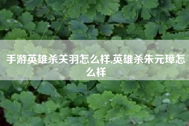 手游英雄杀关羽怎么样,英雄杀朱元璋怎么样