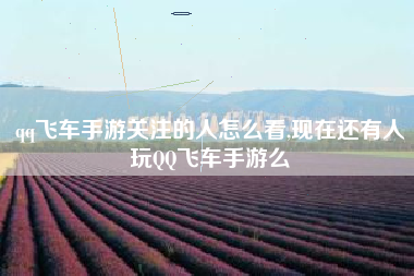 qq飞车手游关注的人怎么看,现在还有人玩QQ飞车手游么