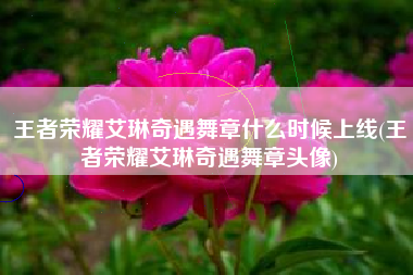 王者荣耀艾琳奇遇舞章什么时候上线(王者荣耀艾琳奇遇舞章头像)