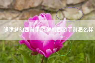哆嗦梦幻西游手游,梦幻西游手游怎么样