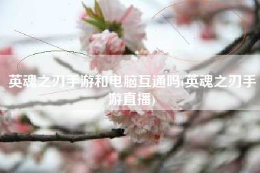 英魂之刃手游和电脑互通吗(英魂之刃手游直播)