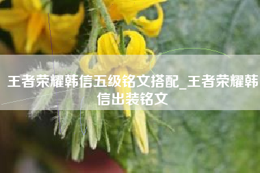 王者荣耀韩信五级铭文搭配_王者荣耀韩信出装铭文