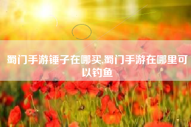 蜀门手游锤子在哪买,蜀门手游在哪里可以钓鱼