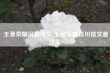 王者荣耀闪避铭文(王者荣耀百川铭文是什么)