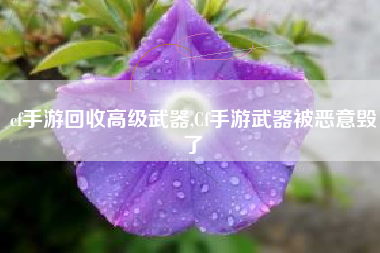 cf手游回收高级武器,Cf手游武器被恶意毁了