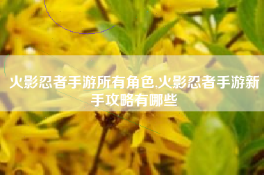 火影忍者手游所有角色,火影忍者手游新手攻略有哪些