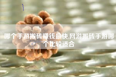 哪个手游搬砖赚钱最快,网游搬砖手游哪个比较适合