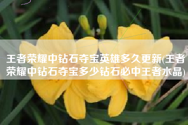 王者荣耀中钻石夺宝英雄多久更新(王者荣耀中钻石夺宝多少钻石必中王者水晶)