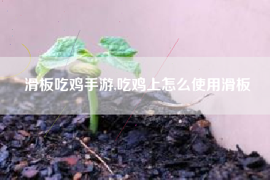 滑板吃鸡手游,吃鸡上怎么使用滑板