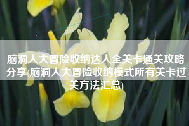 脑洞人大冒险收纳达人全关卡通关攻略分享(脑洞人大冒险收纳模式所有关卡过关方法汇总)