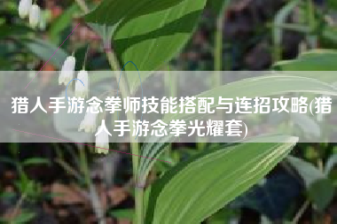 猎人手游念拳师技能搭配与连招攻略(猎人手游念拳光耀套)