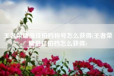 王者荣耀最佳拍档称号怎么获得(王者荣耀最佳拍档怎么获得)