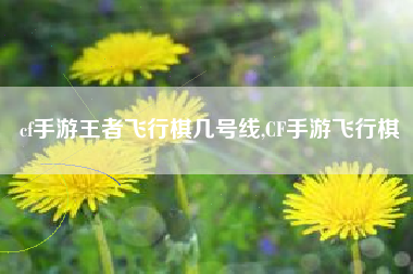 cf手游王者飞行棋几号线,CF手游飞行棋