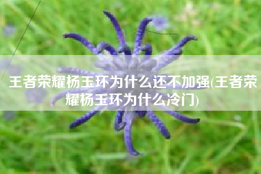 王者荣耀杨玉环为什么还不加强(王者荣耀杨玉环为什么冷门)