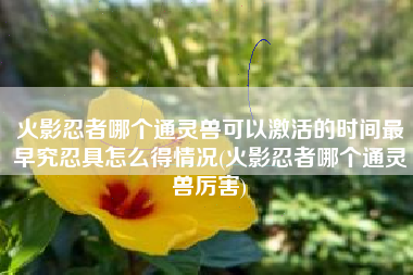 火影忍者哪个通灵兽可以激活的时间最早究忍具怎么得情况(火影忍者哪个通灵兽厉害)