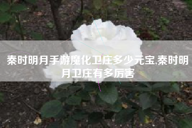 秦时明月手游魔化卫庄多少元宝,秦时明月卫庄有多厉害