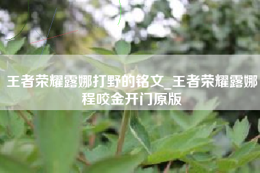 王者荣耀露娜打野的铭文_王者荣耀露娜程咬金开门原版