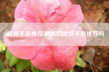 品质手游推荐,精美的武侠手游推荐吗