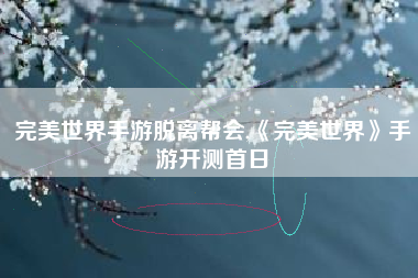 完美世界手游脱离帮会,《完美世界》手游开测首日