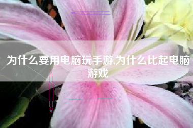 为什么要用电脑玩手游,为什么比起电脑游戏
