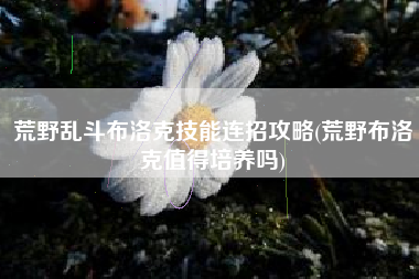 荒野乱斗布洛克技能连招攻略(荒野布洛克值得培养吗)