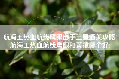 航海王热血航线鹰眼出手三星通关攻略(航海王热血航线鹰眼和黄猿哪个好)