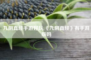 九阴真经手游好玩,《九阴真经》有手游版吗