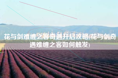 花与剑难缠之客奇遇开启攻略(花与剑奇遇难缠之客如何触发)