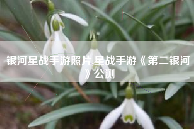 银河星战手游照片,星战手游《第二银河》公测