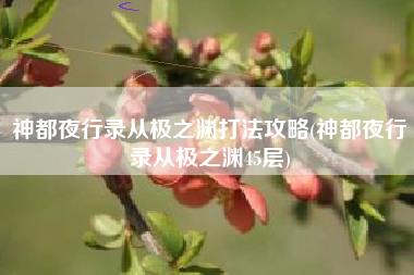 神都夜行录从极之渊打法攻略(神都夜行录从极之渊45层)