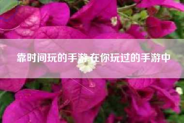 靠时间玩的手游,在你玩过的手游中