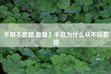 手游不套路,血盟》手游为什么从不玩套路