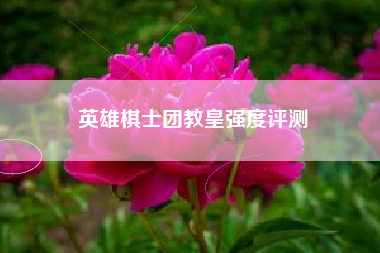 英雄棋士团教皇强度评测