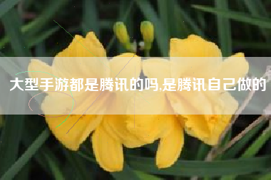 大型手游都是腾讯的吗,是腾讯自己做的