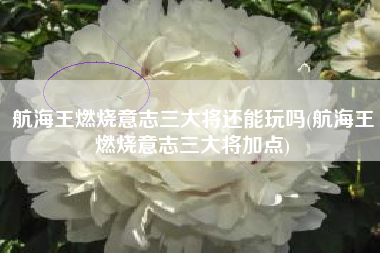 航海王燃烧意志三大将还能玩吗(航海王燃烧意志三大将加点)