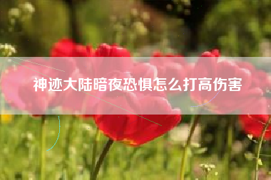神迹大陆暗夜恐惧怎么打高伤害