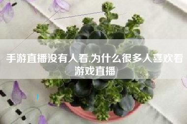 手游直播没有人看,为什么很多人喜欢看游戏直播