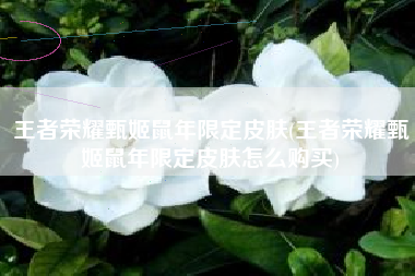 王者荣耀甄姬鼠年限定皮肤(王者荣耀甄姬鼠年限定皮肤怎么购买)