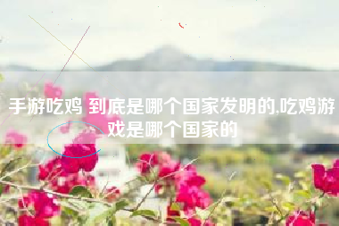 手游吃鸡 到底是哪个国家发明的,吃鸡游戏是哪个国家的