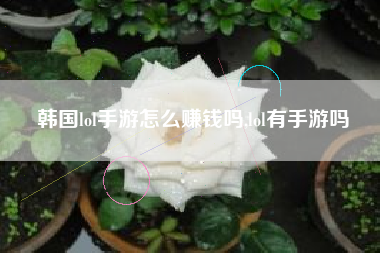 韩国lol手游怎么赚钱吗,lol有手游吗