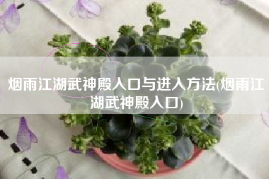 烟雨江湖武神殿入口与进入方法(烟雨江湖武神殿入口)