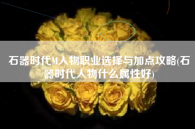石器时代M人物职业选择与加点攻略(石器时代人物什么属性好)