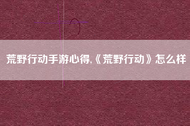 荒野行动手游心得,《荒野行动》怎么样