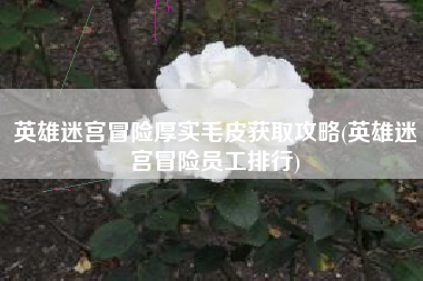 英雄迷宫冒险厚实毛皮获取攻略(英雄迷宫冒险员工排行)