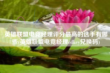英雄联盟电竞经理评分最高的选手有哪些(英雄联盟电竞经理cdkey兑换码)