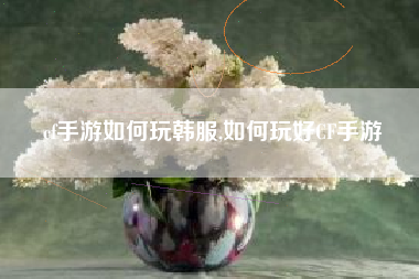 cf手游如何玩韩服,如何玩好CF手游