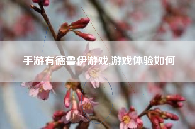 手游有德鲁伊游戏,游戏体验如何