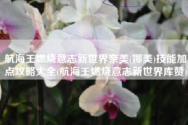 航海王燃烧意志新世界奈美(娜美)技能加点攻略大全(航海王燃烧意志新世界库赞)