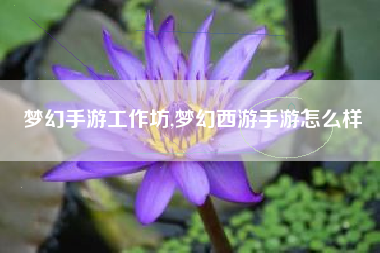 梦幻手游工作坊,梦幻西游手游怎么样