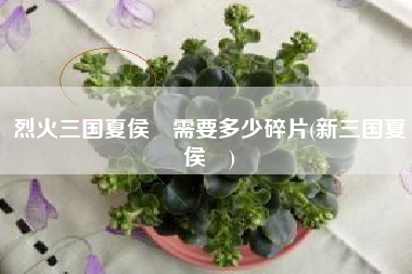 烈火三国夏侯惇需要多少碎片(新三国夏侯惇)